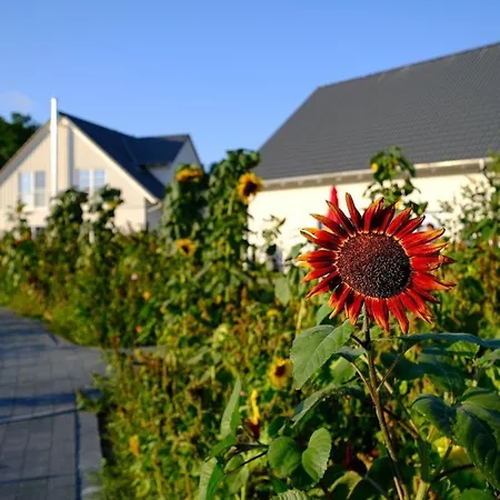 Casa vacanze Mit Sauna, Kamin Und Wasserblick Altwarp